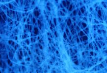 Инновационная технология получения белой целлюлозы: прорыв ученых из Перми innovaczionnaya tehnologiya polucheniya beloj czellyulozy proryv uchenyh iz permi-politgolos-ru-174041025800-0