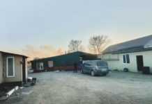 Коврик под педалью газа стал причиной наезда на двух детей в Приморье kovrik pod pedalyu gaza stal prichinoj naezda na dvuh detej v primore-politgolos-ru-174060826600-0