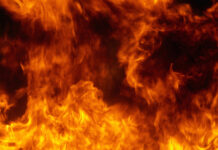 Курганская область: вместе сохраним безопасность домов и семей kurganskaya oblast vmeste sohranim bezopasnost domov i semej-politgolos-ru-174024169000-0