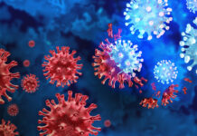 osipov soobshhil o proryve v borbe s koronavirusami-politgolos-ru-174024877200-0