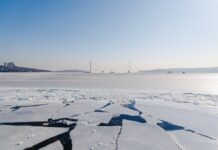 В Приморье весеннее тепло дарит новые краски v primore vesennee teplo darit novye kraski-politgolos-ru-174062149700-0