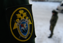 vladelecz sobak privlechyon k otvetstvennosti za inczident s rebyonkom v sochi-politgolos-ru-174069810700-0