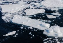 Во Владивостоке прогнозируют активное таяние льдов vo vladivostoke prognoziruyut aktivnoe tayanie ldov-politgolos-ru-174067140000-0