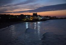 zaderzhannye figuranty dela o terakte v krokuse planirovali novoe prestuplenie -politgolos-ru-174024646700-0