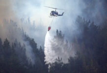 Forestal,Fire,Patagonia,Argentina