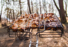 Цены на шашлыки в 2025 и советы Ирины Писаревой для идеального пикника Shish,Kebabs,From,Chicken,Meat,On,The,Grill.,Picnic,In