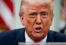 Дональд Трамп и операция в Йемене скрытые цели авиаударов США против хуситов donald tramp i operacziya v jemene skrytye czeli aviaudarov ssha protiv husitov-politgolos-ru-174212163100-0