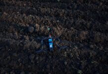 Дроны ВСУ уничтожили перебежчика в Курской области drony vsu unichtozhili perebezhchika v kurskoj oblasti-politgolos-ru-174139225100-0