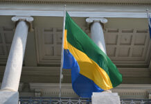 Габон и Россия открывают новые горизонты сотрудничества с Брисом Олиги Нгемой gabon i rossiya otkryvayut novye gorizonty sotrudnichestva s brisom oligi ngemoj-politgolos-ru-174313780200-0