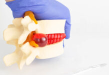 Прорыв Шаньдунского университета: FSP1 как ключ к лечению дегенерации позвоночника proryv shandunskogo universiteta 1 kak klyuch k lecheniyu degeneraczii pozvonochnika-politgolos-ru-174233230000-0