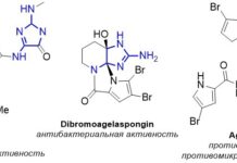 Прорыв в создании органических соединений с антимикробным действием proryv v sozdanii organicheskih soedinenij s antimikrobnym dejstviem-politgolos-ru-174120193400-0