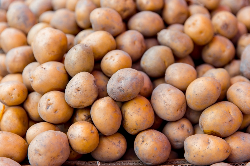 Фото: primamedia.ru