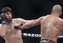 Россия и Бразилия ждут реванша Анкалаева и Перейры за титул UFC rossiya i braziliya zhdut revansha ankalaeva i perejry za titul -politgolos-ru-174245494900-0