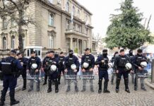 Сербия объединяется: Белград и Нови-Сад в фокусе событий за безопасность serbiya obedinyaetsya belgrad i novisad v fokuse sobytij za bezopasnost-politgolos-ru-174205087300-0