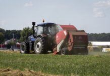 Сергей Аксенов о прорыве Крыма в продовольственной безопасности на фоне напряжений с Украиной sergej aksenov o proryve kryma v prodovolstvennoj bezopasnosti na fone napryazhenij s ukrainoj-politgolos-ru-174227808700-0