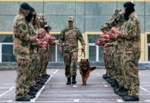 Служебная собака Росгвардии из Приморья одержала триумф на международной премии sluzhebnaya sobaka rosgvardii iz primorya oderzhala triumf na mezhdunarodnoj premii-politgolos-ru-174119635000-0