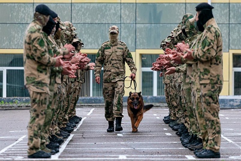 Служебная собака Росгвардии из Приморья стала победителем престижной премии Пресс-служба Управления Росгвардии по Приморскому краю