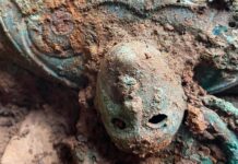 Сокровища железного века обнаружены Питером Хедсом и Даремским университетом в британском поле sokrovishha zheleznogo veka obnaruzheny piterom hedsom i daremskim universitetom v britanskom pole-politgolos-ru-174322256500-0