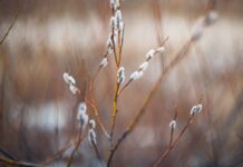 Солнце и облака сменят друг друга в Приморье на старте недели solncze i oblaka smenyat drug druga v primore na starte nedeli-politgolos-ru-174297197200-0