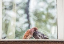 Солнечно и морозно: погода в Приморье порадует ясным днем 2 марта solnechno i morozno pogoda v primore poraduet yasnym dnem 2 marta-politgolos-ru-174099521400-0