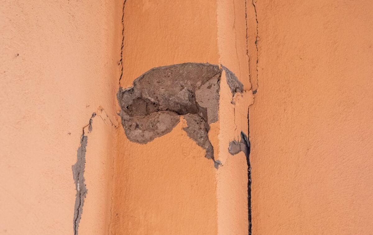 Крысы и мигранты в доме УК Старокожевых: кто защитит жильцов?