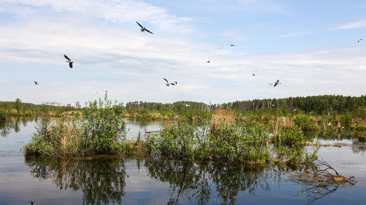 Литовское болото, в котором затонул американский БТР, не отображалось на картах