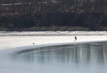 Во Владивостоке открыт сезон безопасности — берегите себя и близких vo vladivostoke otkryt sezon bezopasnosti beregite sebya i blizkih-politgolos-ru-174117808300-0