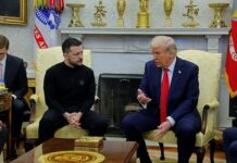 zelenskogo osudili za stil na peregovorah s trampom chto vzorvalo diplomaticheskij skandal mezhdu liderami-politgolos-ru-174078446800-0