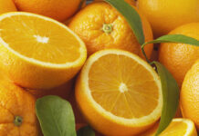 Дарья Русакова раскрыла риски фруктовой диеты и пользу чая каркаде darya rusakova raskryla riski fruktovoj diety i polzu chaya karkade-politgolos-ru-174396656000-0