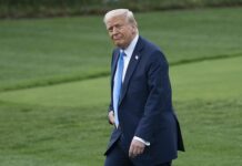 Дональд Трамп видит потенциал для соглашения между США и Китаем через ВТО donald tramp vidit potenczial dlya soglasheniya mezhdu ssha i kitaem cherez vto-politgolos-ru-174422922700-0