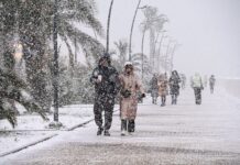 gu mchs rf informiruet o pogodnyh usloviyah v sochi i krasnodarskom krae-politgolos-ru-174419345300-0