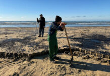 Компенсационный фонд включен в решение по ликвидации мазутного разлива в Черном море kompensaczionnyj fond vklyuchen v reshenie po likvidaczii mazutnogo razliva v chernom more-politgolos-ru-174360859800-0