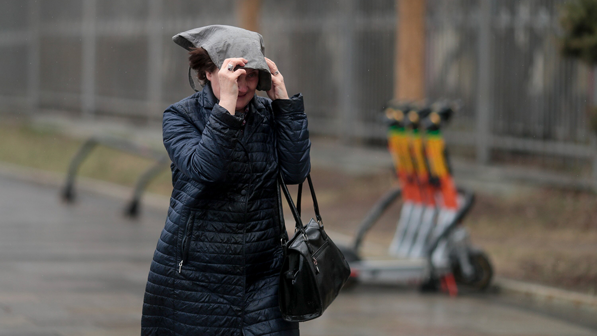 Ветер в Москве 28 апреля