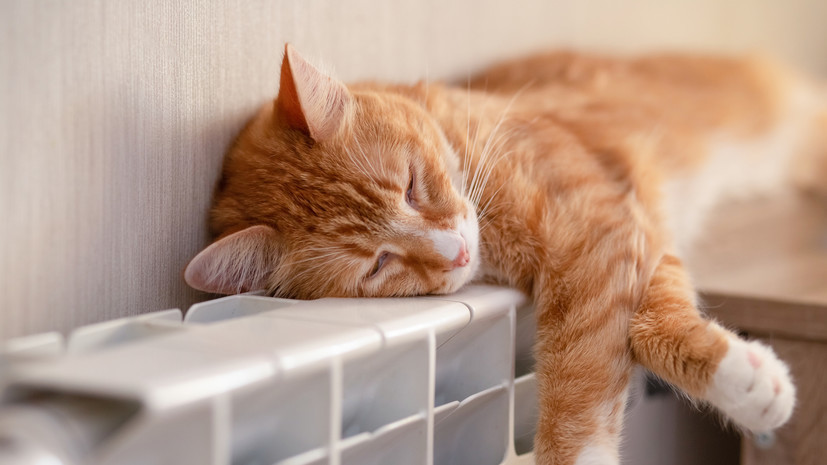 В более чем 600 московских домах заменят системы отопления в 2025 году