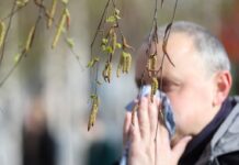 Надежда Логина и Ирина Манина делятся советами по борьбе с аллергией nadezhda logina i irina manina delyatsya sovetami po borbe s allergiej-politgolos-ru-174532137600-0