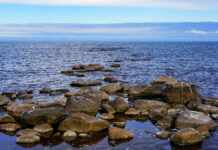 Обнаружение 55-летней фотоловушки в озере Лох-Несс вдохновляет учёных Lake,Ladoga,In,Russia,In,Autumn.