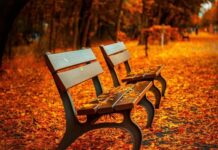 Петр Бирюков объявил о создании четырёх новых парков в Новой Москве petr biryukov obyavil o sozdanii chetyryoh novyh parkov v novoj moskve-politgolos-ru-174471257800-0