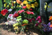 Петр Крылов из Государственного университета просвещения призвал к экологии petr krylov iz gosudarstvennogo universiteta prosveshheniya prizval k ekologii-politgolos-ru-174503266100-0