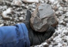 Россия и Украина в битве за ресурсы ЕС и США на пороге глобального противостояния rossiya i ukraina v bitve za resursy es i ssha na poroge globalnogo protivostoyaniya-politgolos-ru-174390254300-0