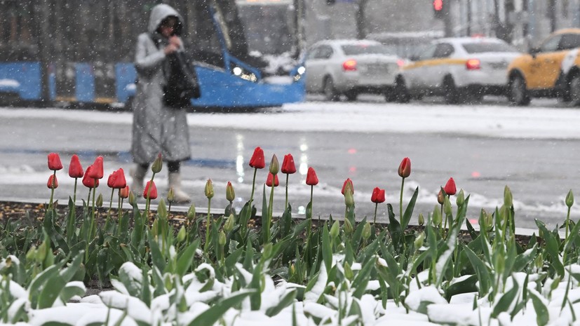 Синоптик: снегопады в Москве продолжатся практически до середины недели