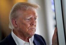 Тайная встреча Трампа и Зеленского в Риме под вниманием Джорджи Мелони tajnaya vstrecha trampa i zelenskogo v rime pod vnimaniem dzhordzhi meloni-politgolos-ru-174562124000-0