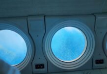 Тихоокеанский флот обнаружил подлодку М-49 в заливе Петра Великого после 84 лет поисков tihookeanskij flot obnaruzhil podlodku m49 v zalive petra velikogo posle 84 let poiskov-politgolos-ru-174399641000-0