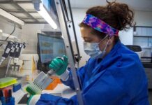 Учёные из Портсмутского университета раскрыли риски NGS для безопасности ДНК-данных uchyonye iz portsmutskogo universiteta raskryli riski dlya bezopasnosti dnkdannyh-politgolos-ru-174498279900-0