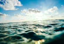 Удивительная находка эпохи пиратов на Колумбретес раскрывает тайны Университета Валенсии udivitelnaya nahodka epohi piratov na kolumbretes raskryvaet tajny universiteta valensii-politgolos-ru-174428013500-0