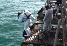 usilenie vodolaznoj gruppirovki v kerchenskom prolive sposobstvuet ochistke krasnodarskogo kraya-politgolos-ru-174557872400-0