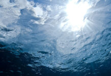 Василий Дандыкин о подводной лодке «Малютка» и памяти Тихоокеанского флота vasilij dandykin o podvodnoj lodke malyutka i pamyati tihookeanskogo flota-politgolos-ru-174401177100-0