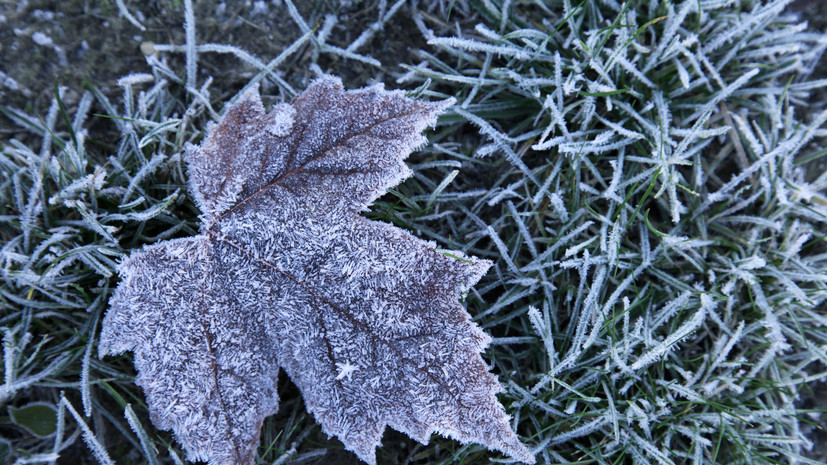 Метеоролог Ткаченко: ночные заморозки в апреле на Кубани не считаются аномальными