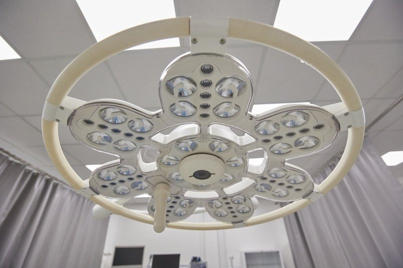 Фото: primamedia.ru