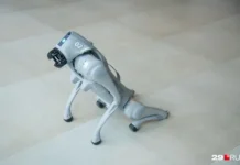 aurum kettunen i ego robotpyos udivili zhitelej arhangelska-politgolos-ru-174793172200-0