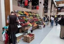 chto govorit andrej konyshev o klubnike iz astrahanskoj oblasti i proverkah-politgolos-ru-174850412800-0